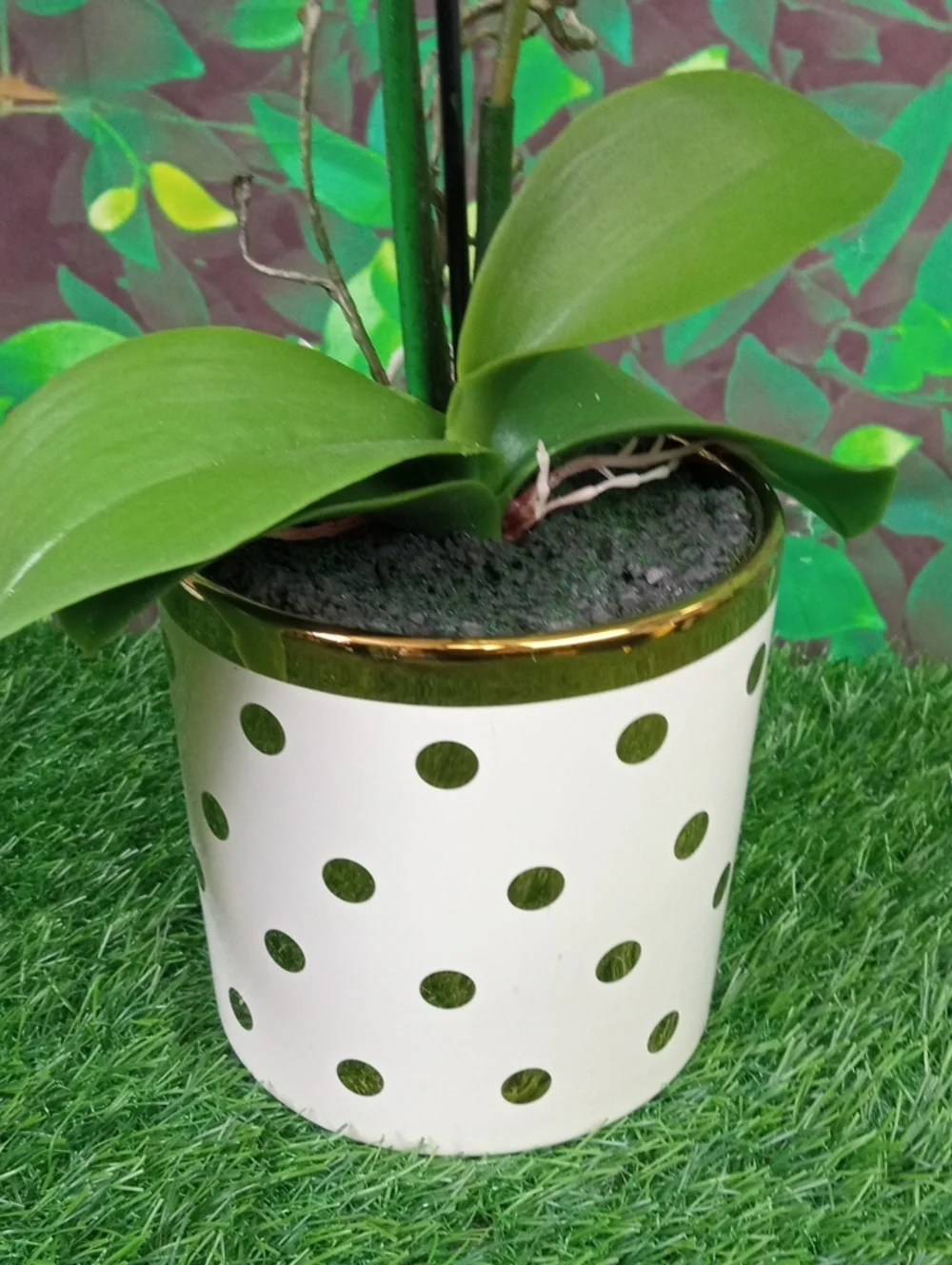 🏠 White Artificial Orchid in Polka Dot Pot - Home Accents